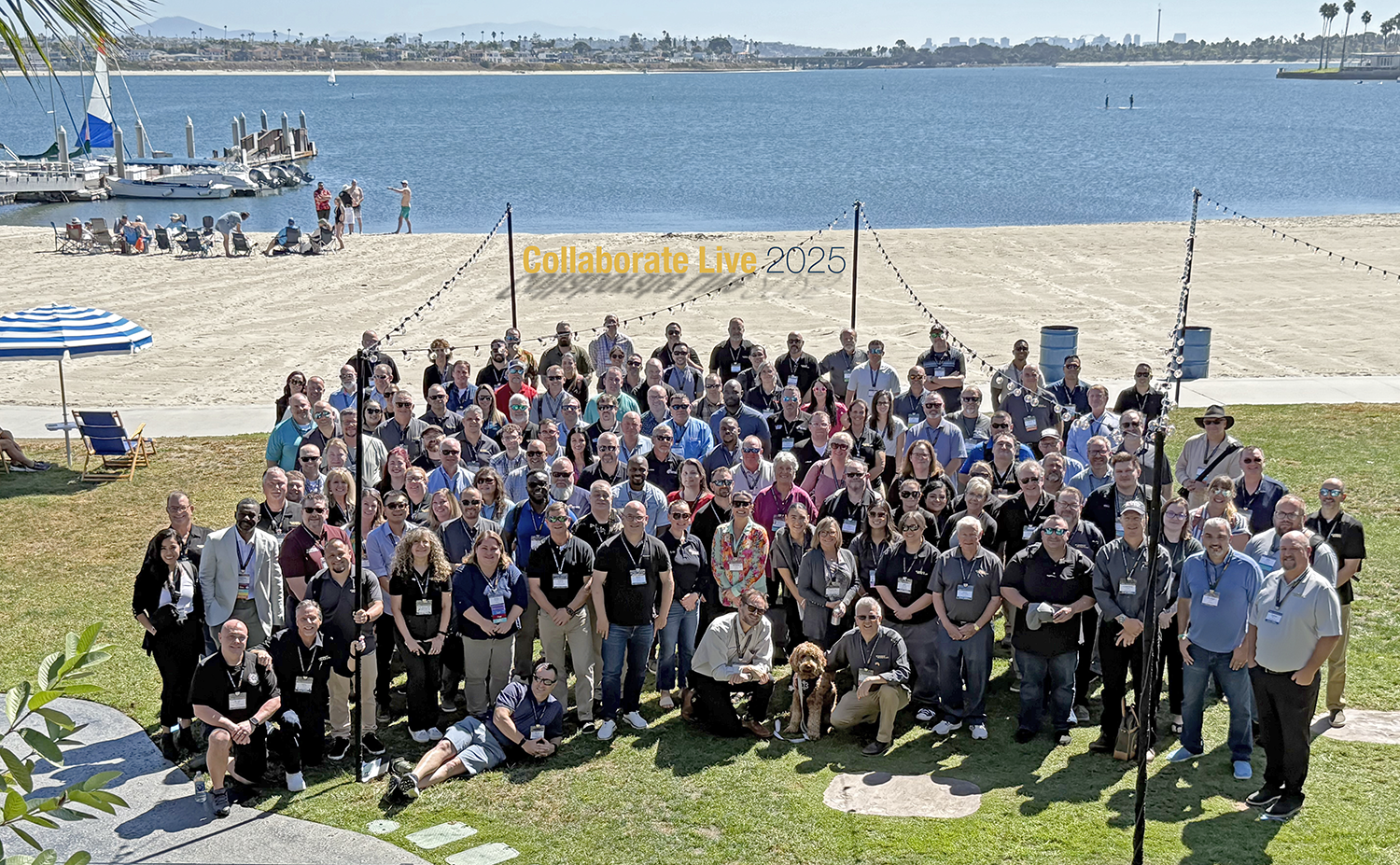 Collaborate Live 2025